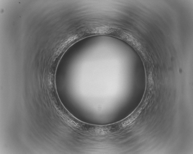 X0000059820305200510241402