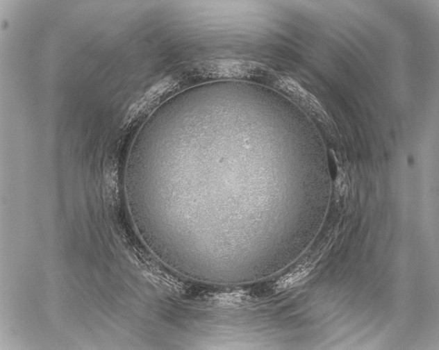 X0000059820306200510241402