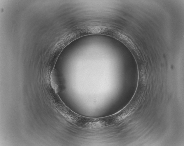 X0000059820307200510241402