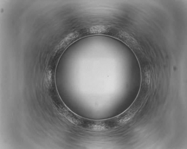 X0000059820308200510241402