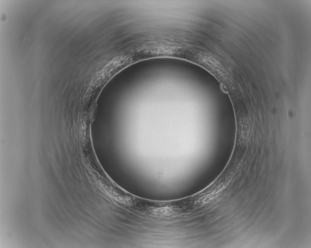 X0000059820309200510241402