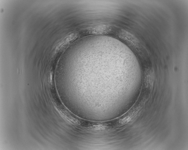 X0000059820310200510241402