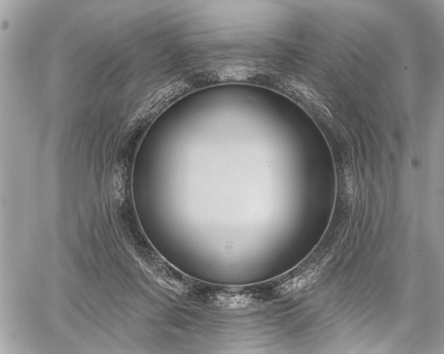 X0000059820311200510241402