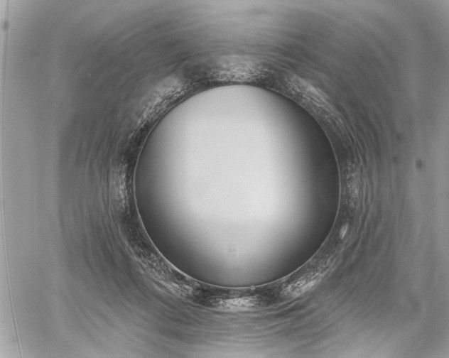 X0000059820312200510241402