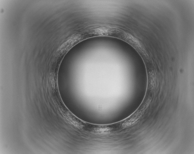 X0000059820313200510241402