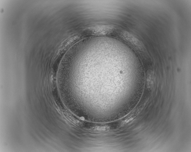 X0000059820314200510241402