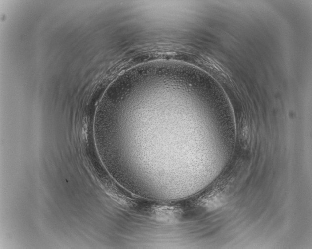 X0000059820315200510241402