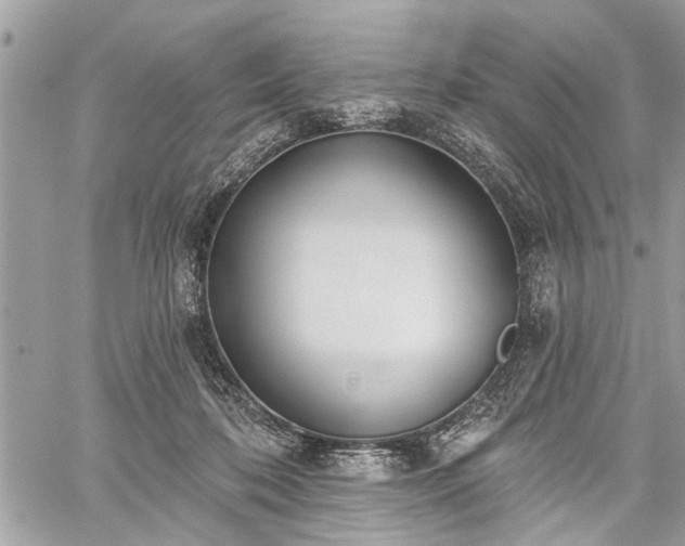 X0000059820316200510241402