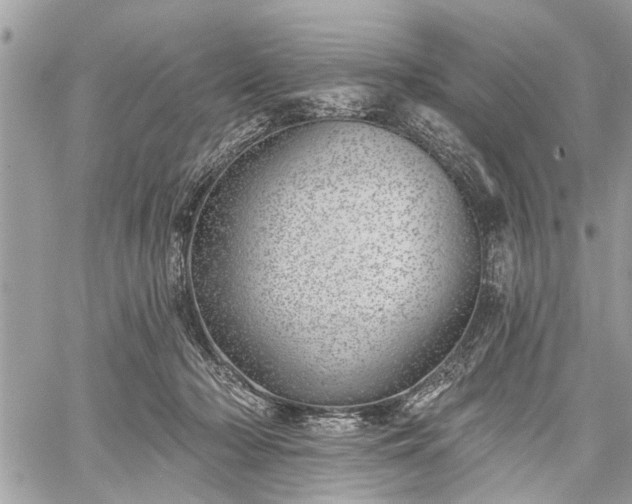 X0000059820318200510241402