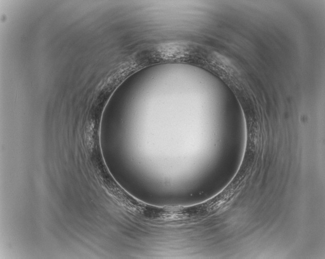 X0000059820319200510241402