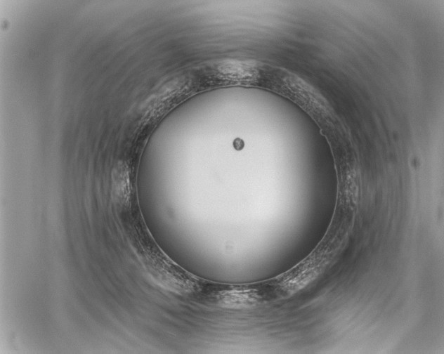 X0000059820320200510241402