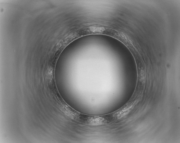 X0000059820321200510241402