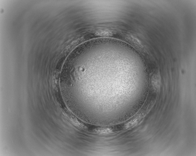 X0000059820322200510241402