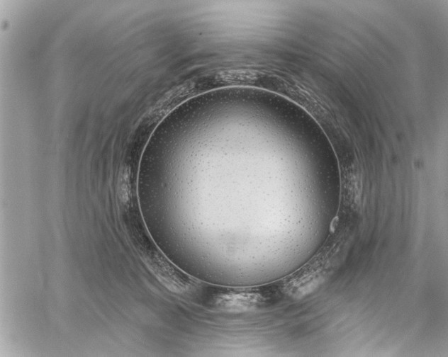 X0000059820323200510241402