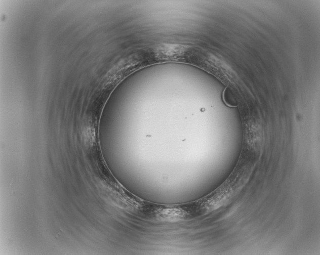 X0000059820324200510241402