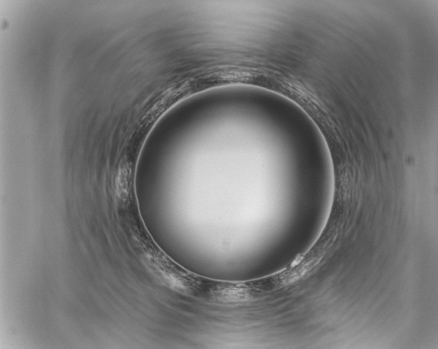 X0000059820325200510241402