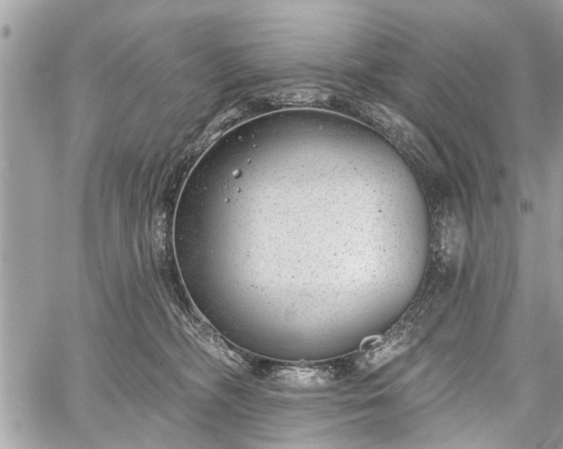 X0000059820326200510241402