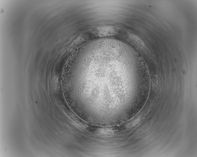 X0000059820327200510241402