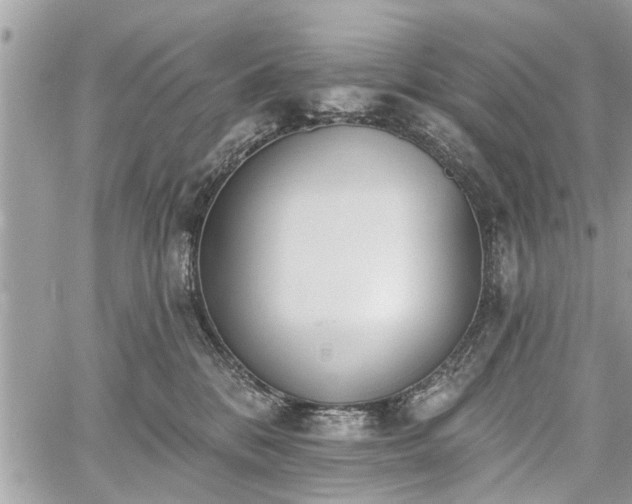 X0000059820328200510241402