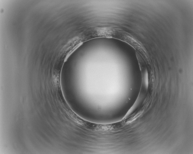 X0000059820329200510241402