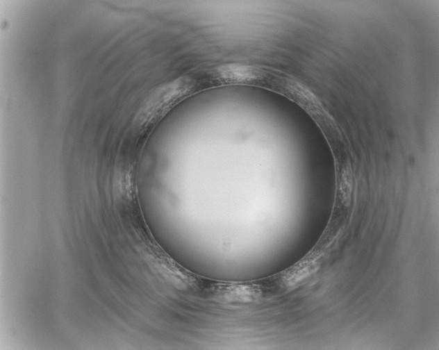 X0000059820330200510241402