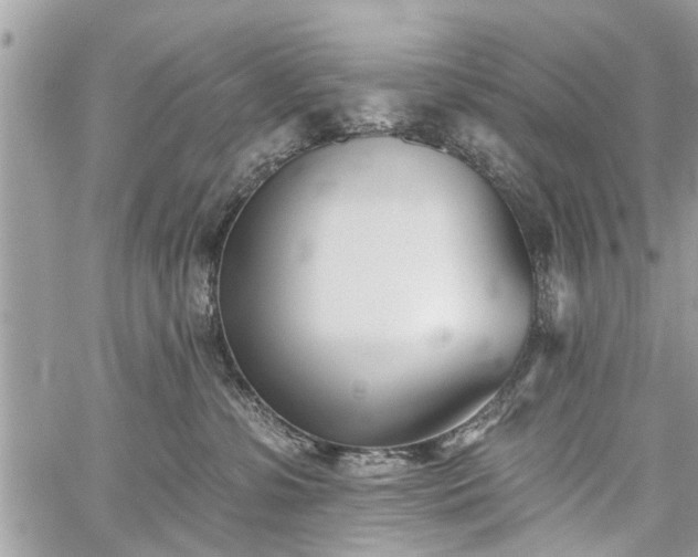 X0000059820331200510241402