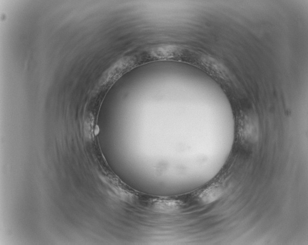 X0000059820332200510241402