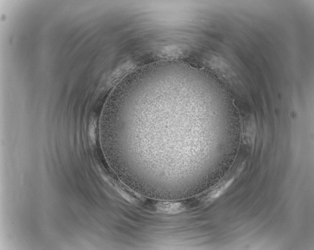 X0000059820334200510241402