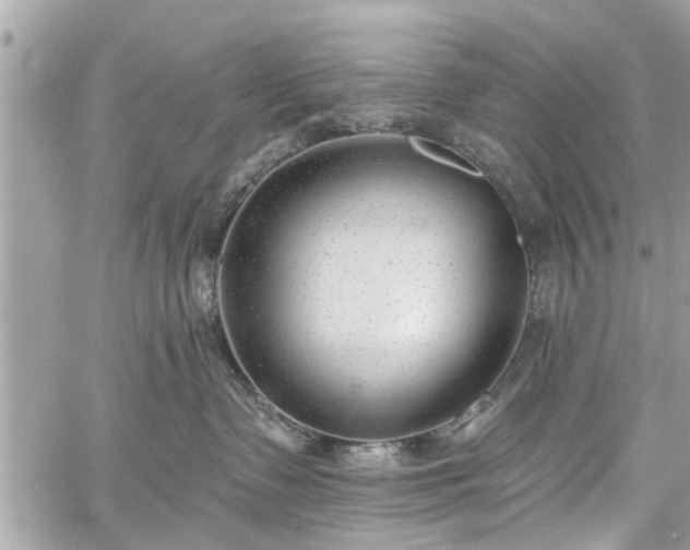 X0000059820335200510241402