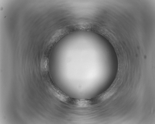 X0000059820336200510241402