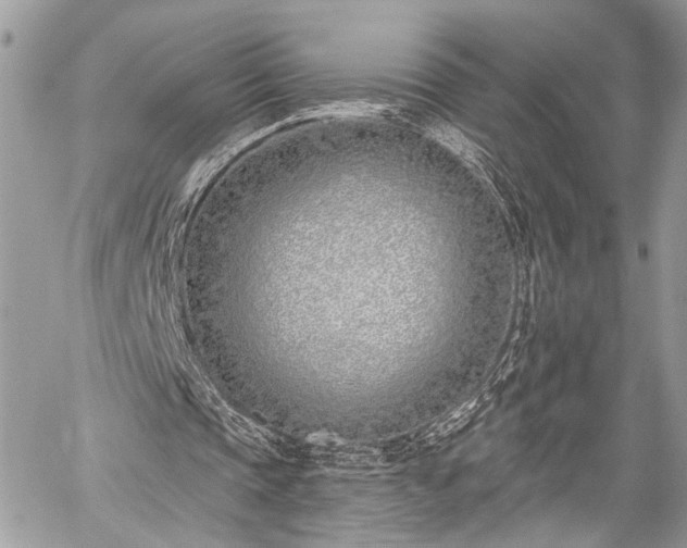 X0000059820337200510241401