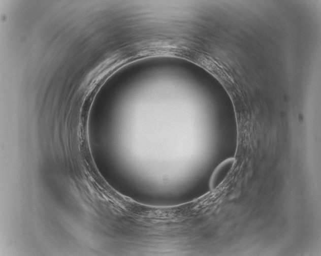 X0000059820338200510241401