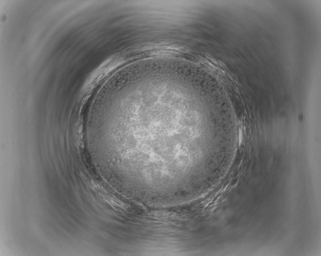 X0000059820339200510241401