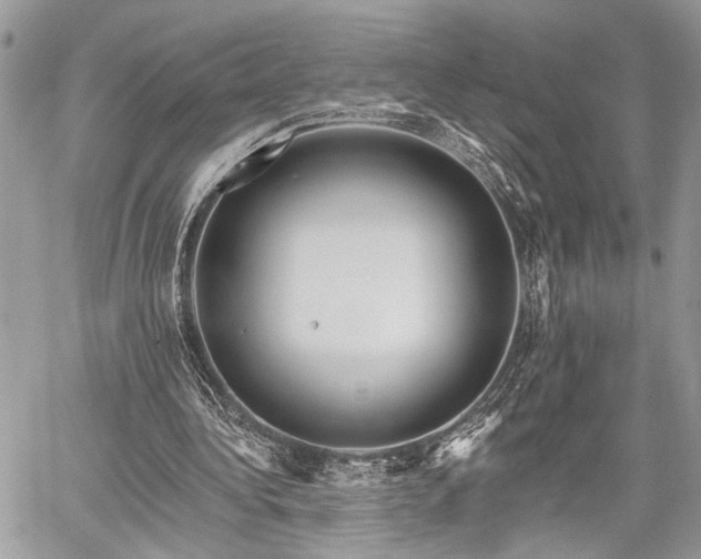 X0000059820340200510241401