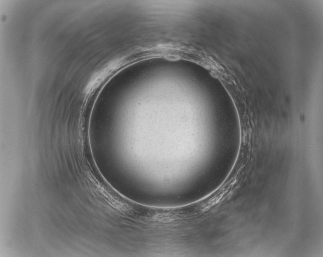 X0000059820341200510241401