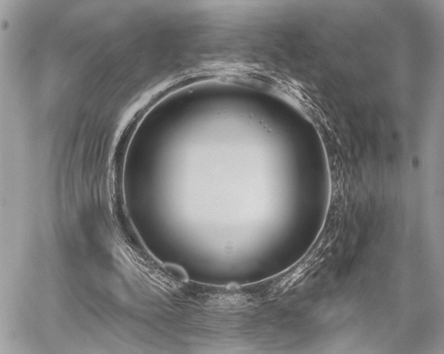 X0000059820342200510241401