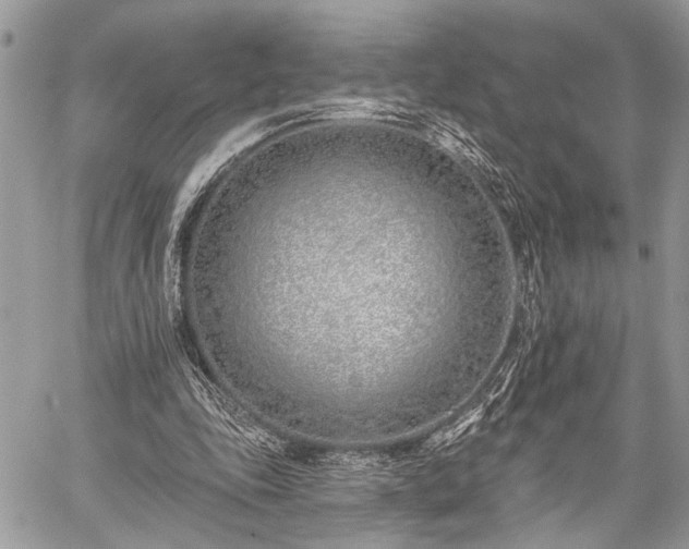 X0000059820343200510241401