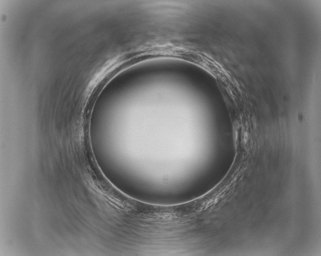 X0000059820344200510241401