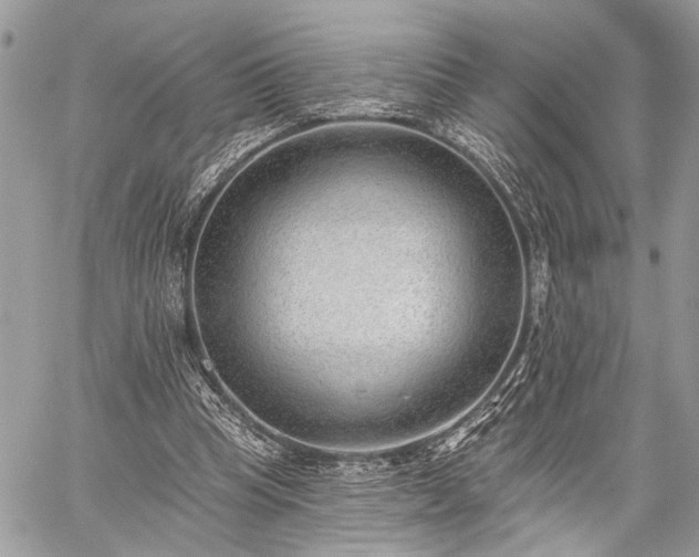 X0000059820345200510241401