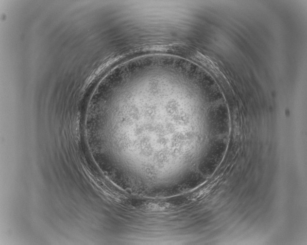 X0000059820346200510241401