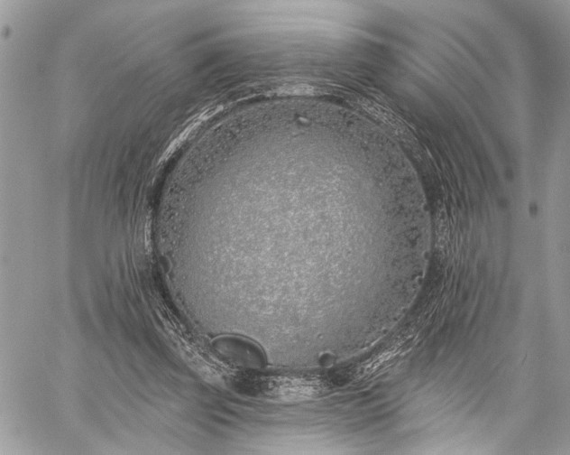 X0000059820347200510241401