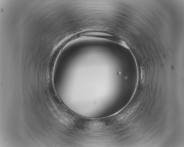 X0000059820348200510241401