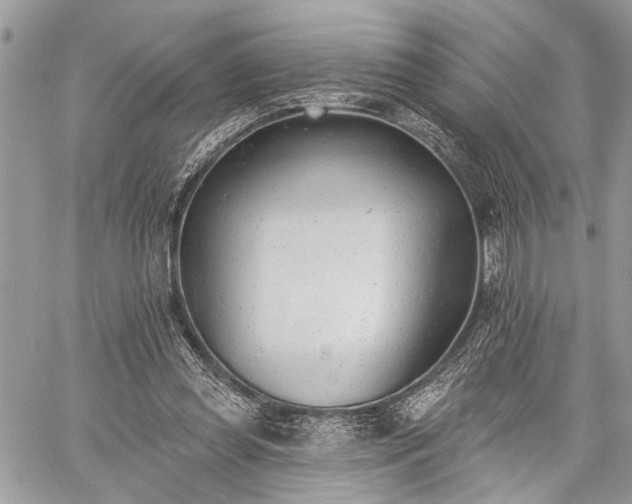 X0000059820349200510241401