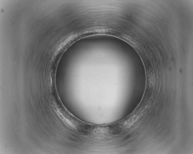 X0000059820350200510241401