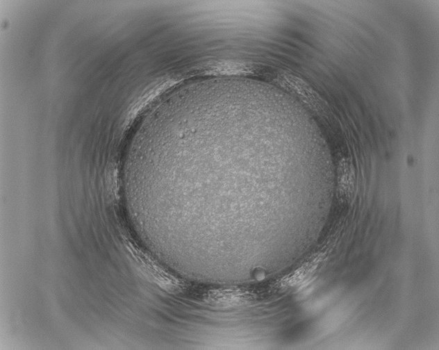 X0000059820351200510241401