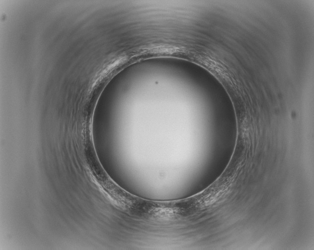 X0000059820352200510241401