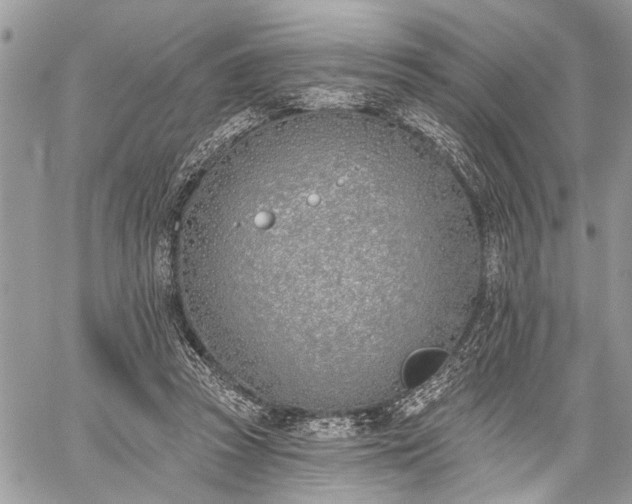 X0000059820353200510241401