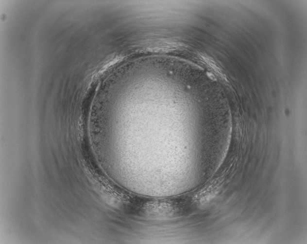 X0000059820354200510241401