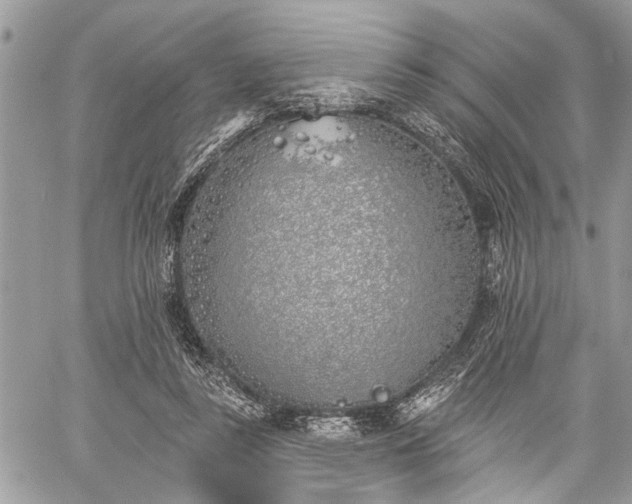 X0000059820355200510241401