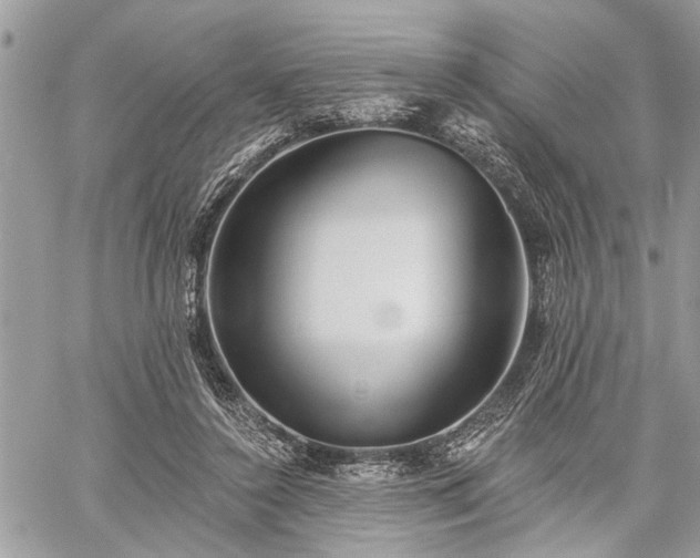 X0000059820356200510241401